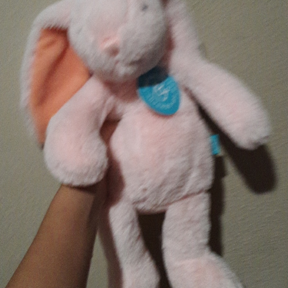 A stuffed animal bunny